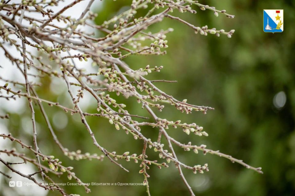 � ����������� ������ �������