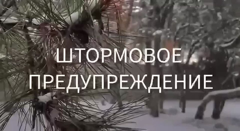 Экстренное предупреждение об опасных гидрометеорологических явлениях по Республике Крым на 2 февраля 2026 года