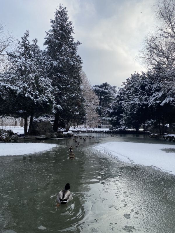 � ����������� � ����� ��������� ������� ������