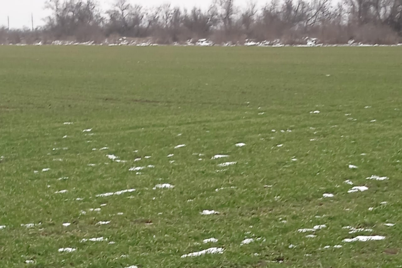 Сергей Биданец: РАБОТА ОРГАНОВ МЕСТНОГО САМОУПРАВЛЕНИЯ КРАСНОПЕРЕКОПСКОГО РАЙОНА: ГЛАВНОЕ ЗА МЕСЯЦ Сергей Биданец: РАБОТА ОРГАНОВ МЕСТНОГО САМОУПРАВЛЕНИЯ КРАСНОПЕРЕКОПСКОГО РАЙОНА: ГЛАВНОЕ ЗА МЕСЯЦ