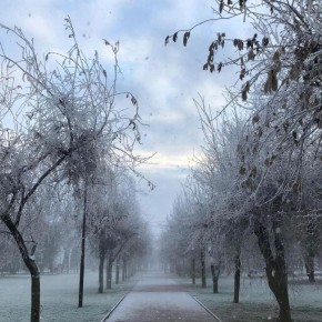 ����� ������ ��� ������� � ������ ����� 1 �������