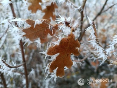 ������� � �������� ��������� ���������� ����� � �������������� ������