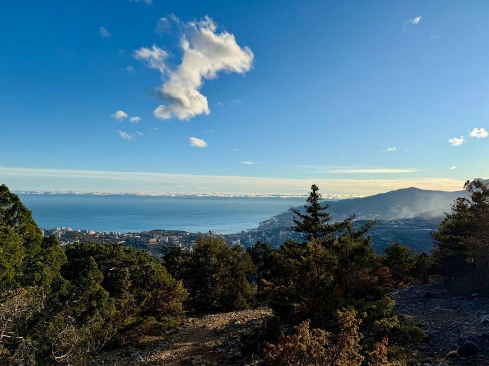 � ������ ��� �����.. ���� ����