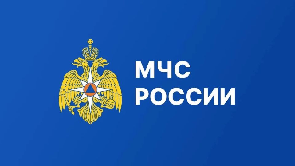 Узнать о плановых проверках органов госпожнадзора МЧС России можно онлайн