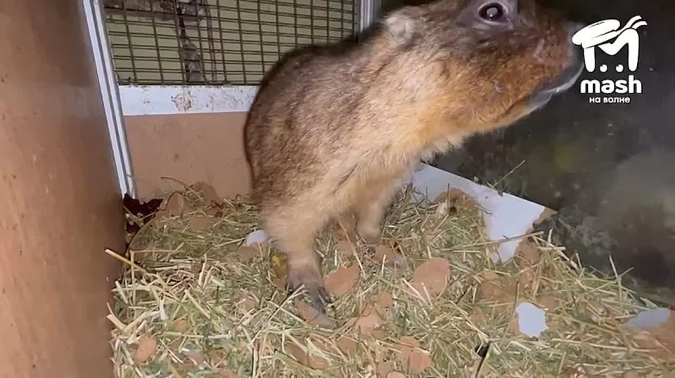 �� ��� �����? ����� ���� �����? ����� ����������� ������ ������, � �� ����� ����� ������