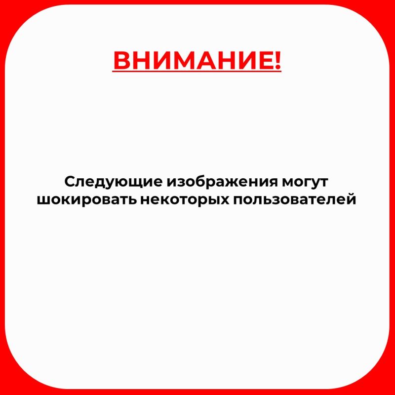Государственные инспекторы Минприроды Крыма выявили факт незаконной добычи косули европейской