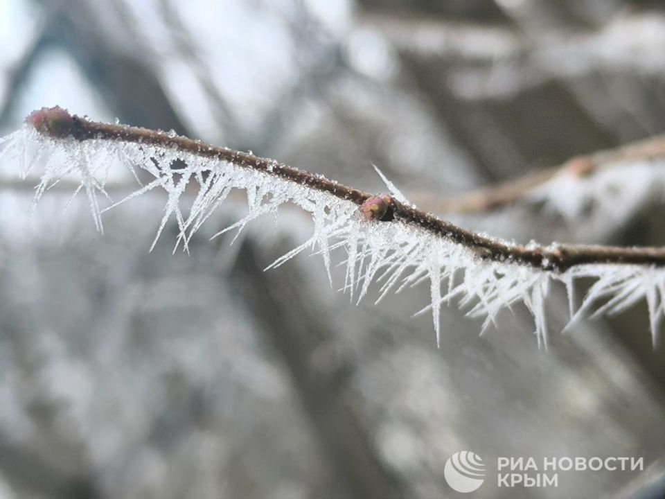 ������� ������ � ����� �� �����������