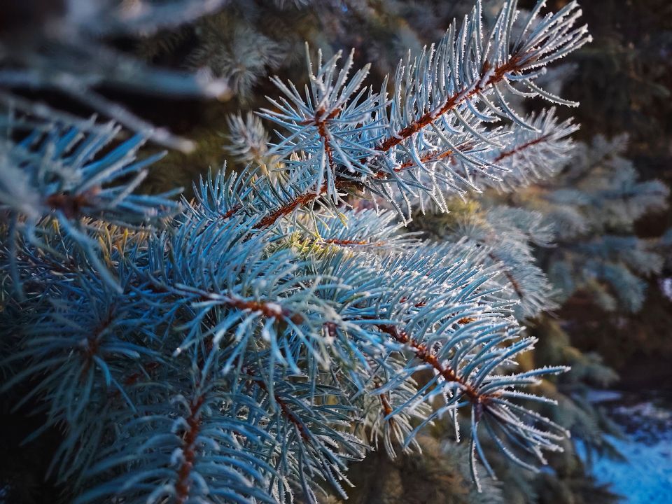 � ������ �����, �������!. �������� ���� � ��� ����� ��� ����� ��������� � ������ ������