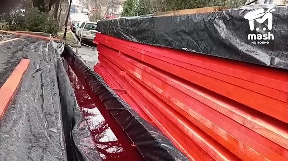 �� ���� ����� �������� �����