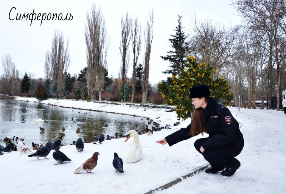 Крым прекрасен в любое время года и в любую погоду Крым прекрасен в любое время года и в любую погоду