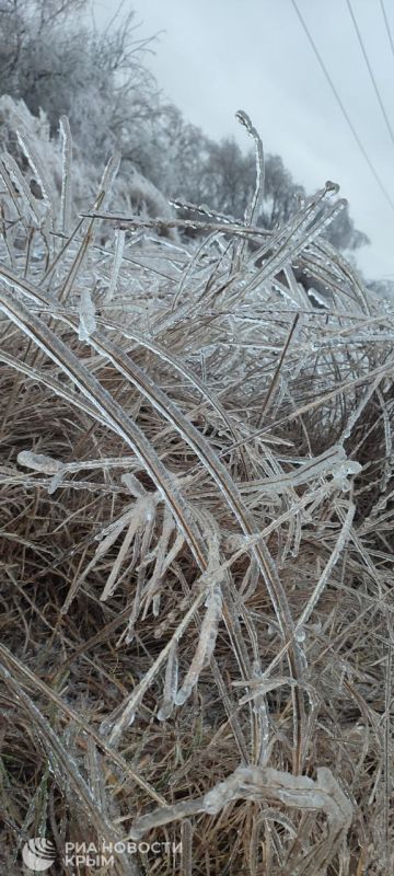 ������� � ������� ������ � ������ ����� � ���� �������� �������