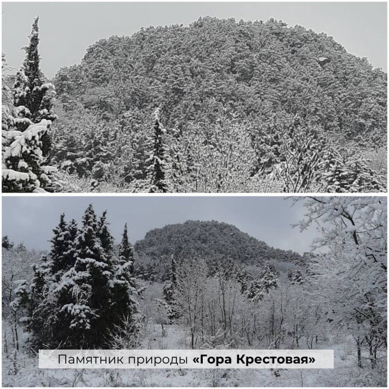 � ����� ������ ��������� ������ ������