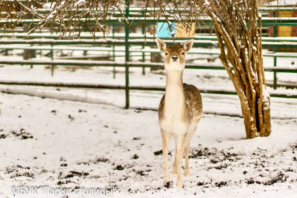 ������� ������ � ���������: ��� ����� ���������� � ��������, ��� ������ � ����� ���