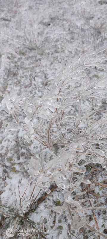 ������� � ������� ������ � ������ ����� � ���� �������� �������