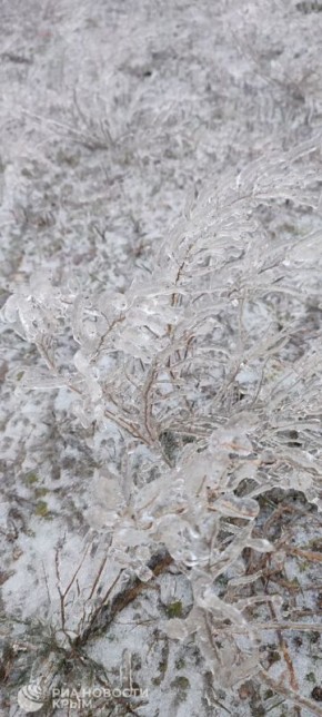 ������� � ������� ������ � ������ ����� � ���� �������� �������