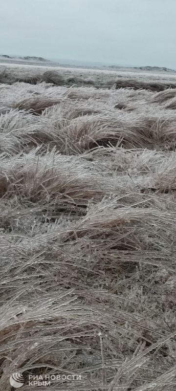 ������� � ������� ������ � ������ ����� � ���� �������� �������