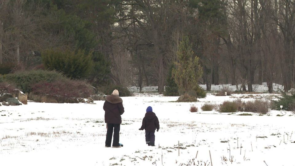 ������ ����, �����������!. #����������� #����