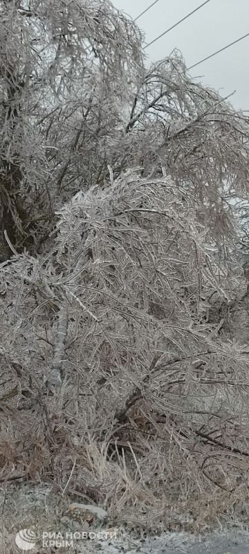 ������� � ������� ������ � ������ ����� � ���� �������� �������