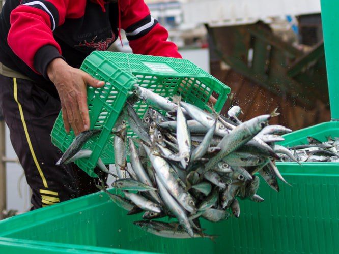 � ����������� ����� ���� ����� � ������� ���� � 2025 ����