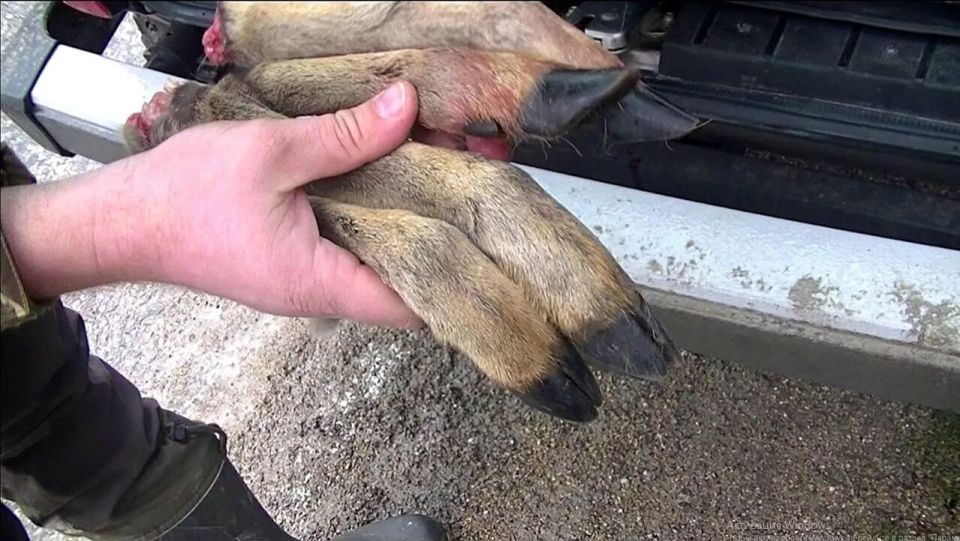 � ����� �� ���������� �������� ������ ����� ������ ��������