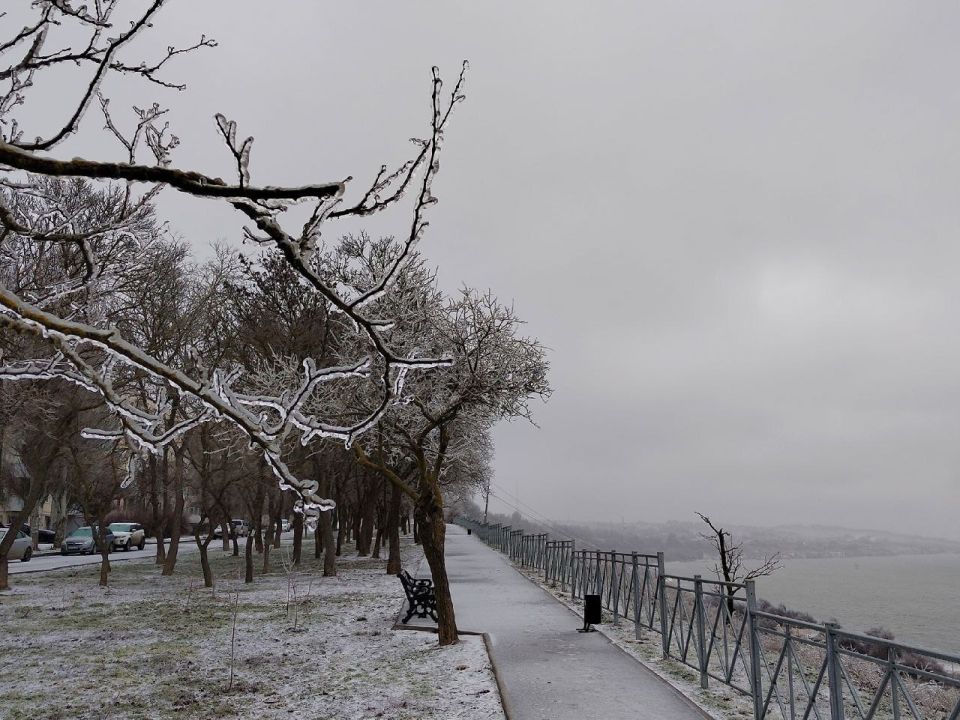 � ����� ������ ������� �����