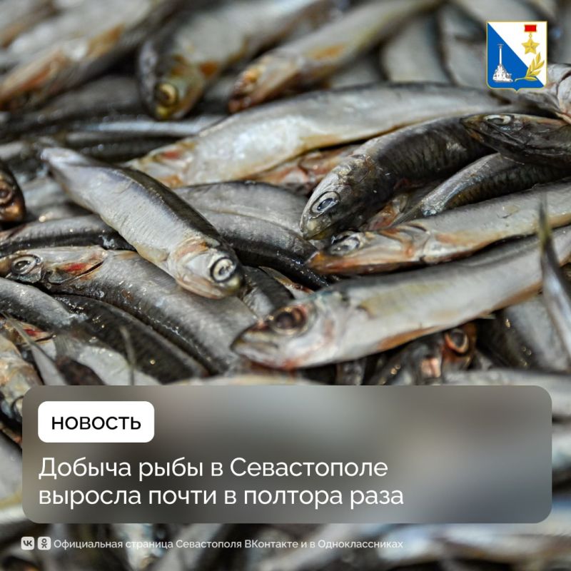 ����� 25 ����� ���� ���� �������� � ����������� � ������� ���� � ����� � ������� ���� ������, ��� � 2024 ����