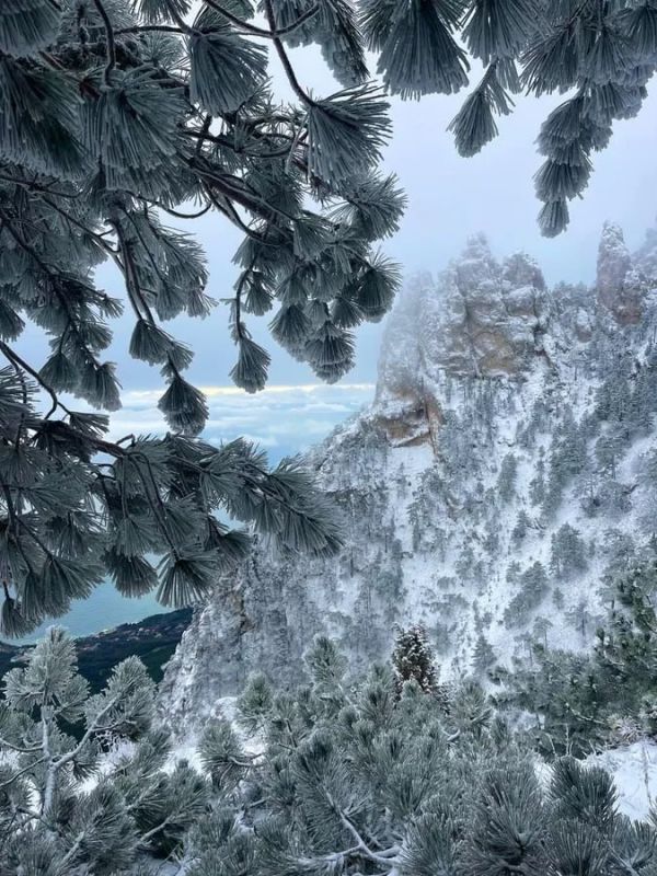 ������ ����� �� ��-����� � ������ ��������� ����� � 3,5 ����