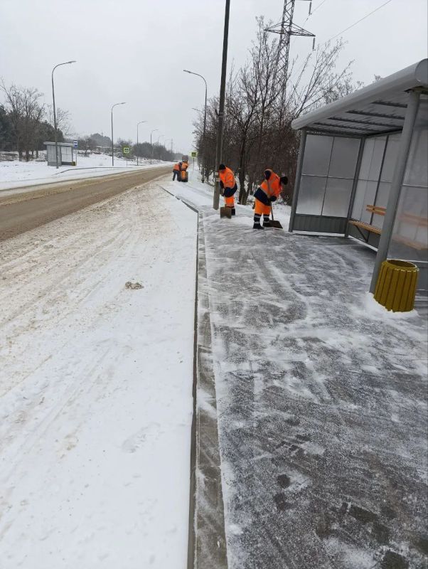 �� ��������� ����� ����������� "�����������" �������� �������� ����� �� ���������� ��������� ������-�������� ����