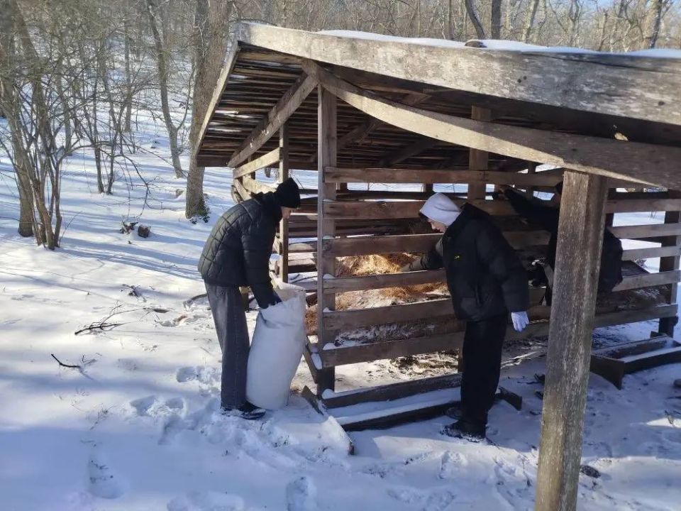 ���������� ��� �� �������������� ������������� ��������� �������� ��������� ����� �������� - �������������� �����������