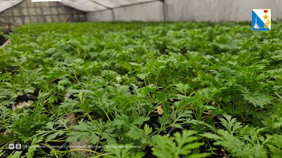 � ��������� ������� � ������� ���������� ����� ����� �� ��������