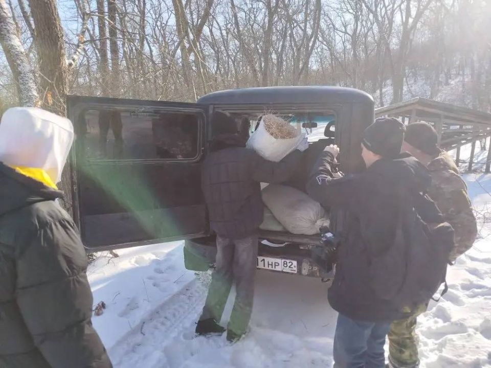 ���������� �������������� ��������������� ��������� ������������� ����� ��������