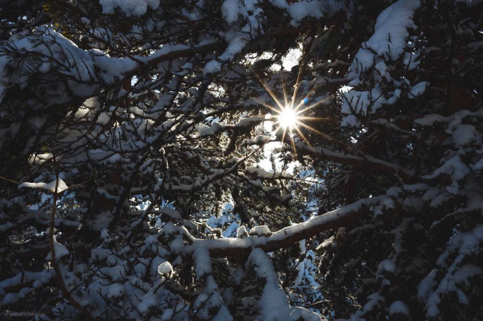 ������ �������� ���.. ���������� ����. 0