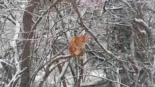 ����� ������ ������ �� ������, ������, �� ����� �������� �������� �������