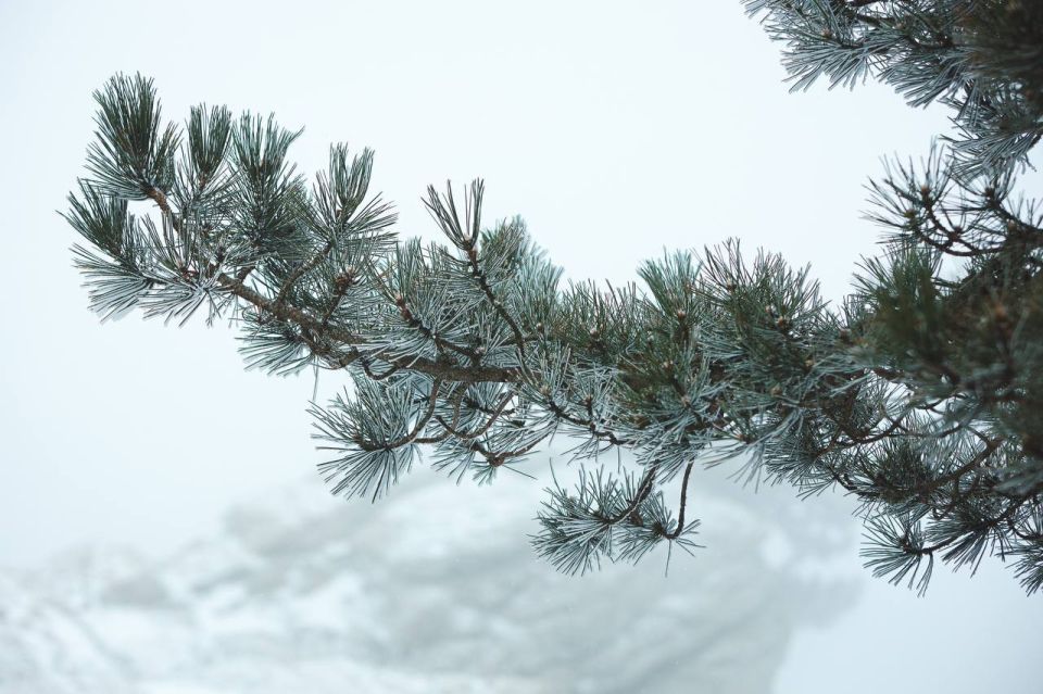 ������ �������� ���.. ���������� ����. 0