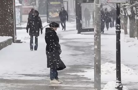 ����� ���� ������� ������ � ��������, � �� ������-�� ����� ����!