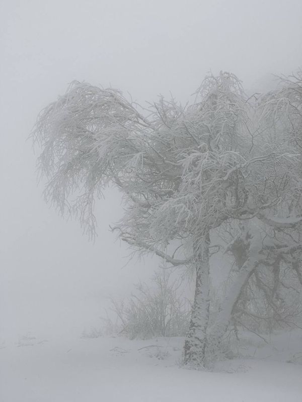 ��� ����� ������� ������ �� ��-�����