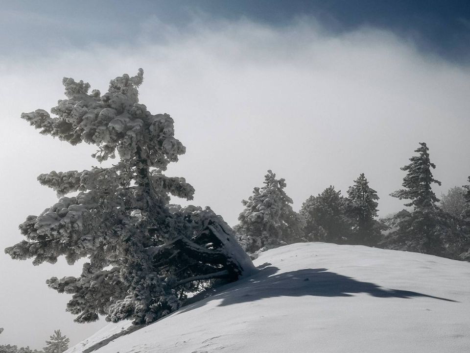 ��� ����� ������� ������ �� ��-�����