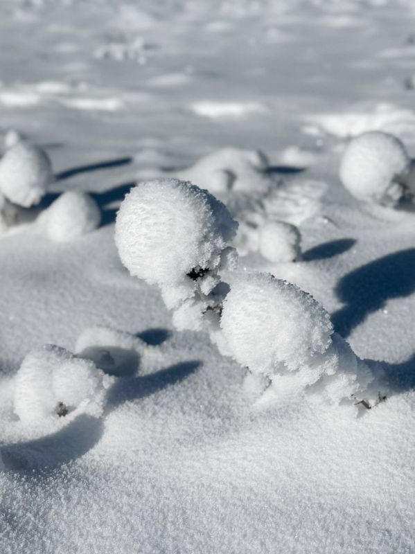 ��� ����� ������� ������ �� ��-�����