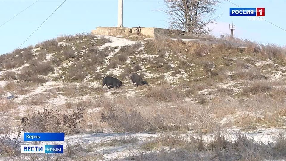 �� ������ ����� �������� ��������� ��������