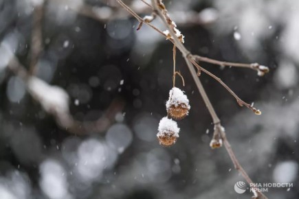 ��������� ������ � ����� �������� � ������� �����������