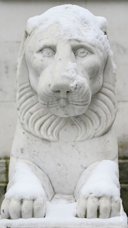 �������. ������.. ���� �� ������ �� ��� �������