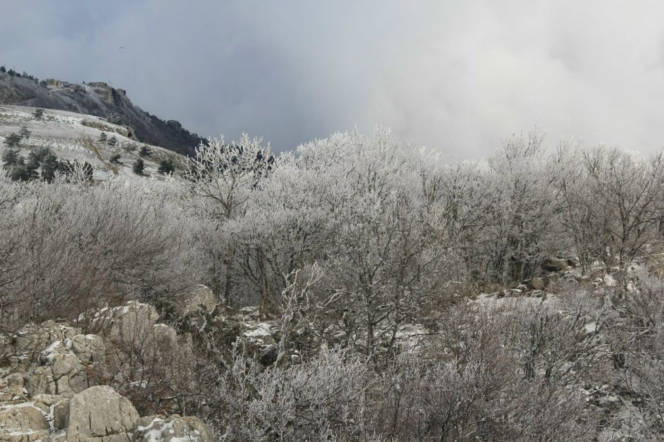 � ����� ����, � � ��������� ������������ ���� ����� ��������