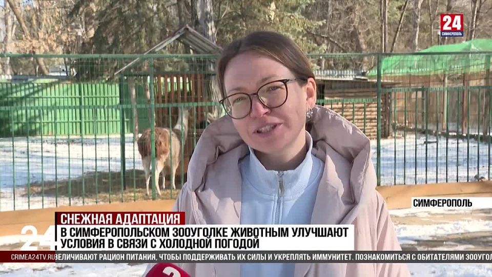 � ��������������� ��������� �������� �������� ������� � ����� � �������� �������