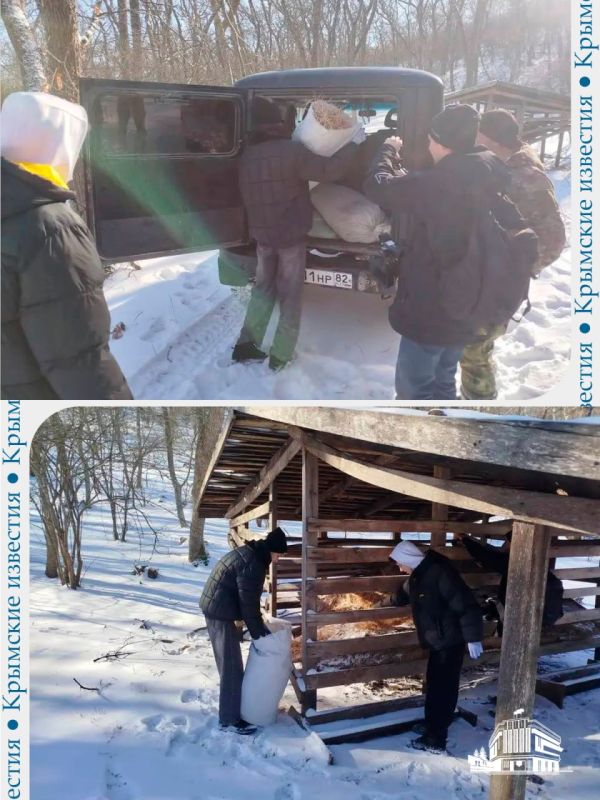 ����� � ����: ��� ������������� ����� �������� � �����