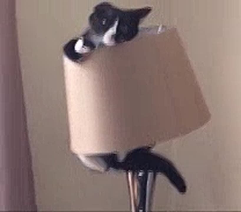 ��� ���� � ��������� ������ ����������