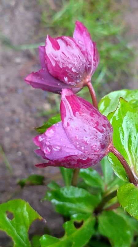 � ����� ����, � � ��������� ������������ ���� ����� ��������