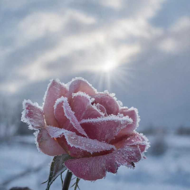 ����� ������ ��� ������� � ������ ����� 5 �������