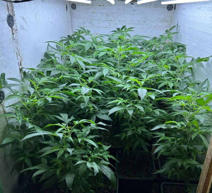 � ����� ������� �������� � �������� ������� ����� ������ 4 ��