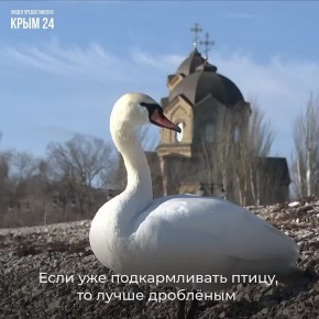 �� ���������� ����� ���������� ��������� ���� ������������� ��������