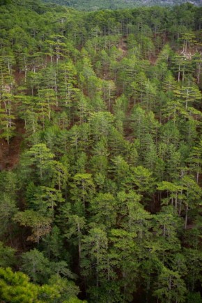 ������������ ������ ����� � ��-��� � ������ ����